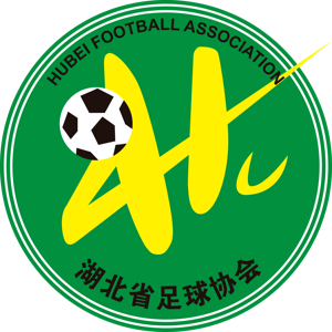 湖北全运女足